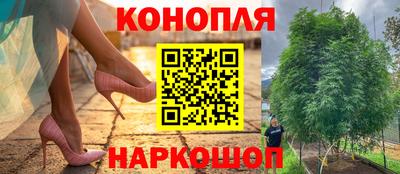 твердый Славгород