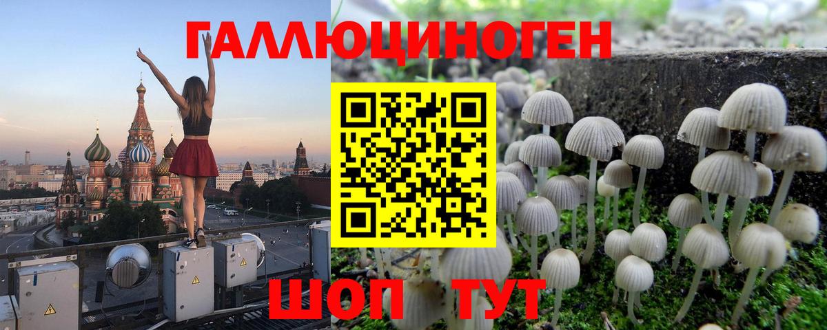 Псилоцибиновые грибы Cubensis  Галлюциногенные грибы Psilocybine cubensis  Ртищево  Вход с VPN 